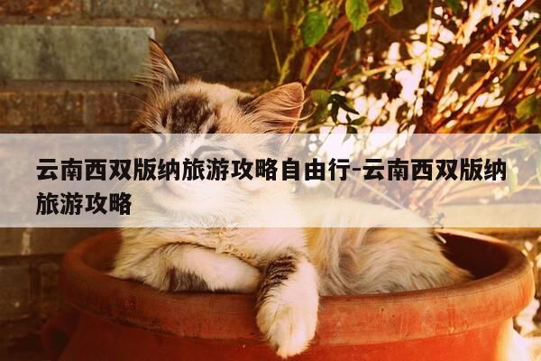 云南西双版纳旅游攻略自由行-云南西双版纳旅游攻略-第1张图片-优惠活动网