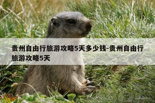 贵州自由行旅游攻略5天多少钱-贵州自由行旅游攻略5天-第1张图片-优惠活动网 贵州自由行旅游攻略5天多少钱-贵州自由行旅游攻略5天-第1张图片-优惠活动网