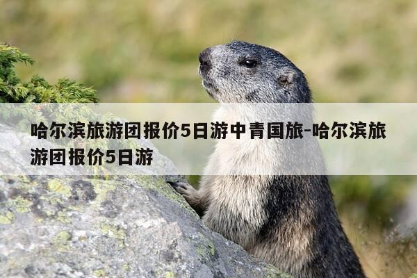 哈尔滨旅游团报价5日游中青国旅-哈尔滨旅游团报价5日游-第1张图片-优惠活动网