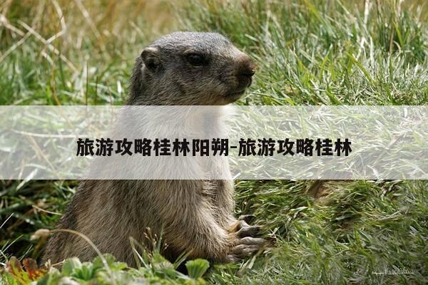 旅游攻略桂林阳朔-旅游攻略桂林-第1张图片-优惠活动网 旅游攻略桂林阳朔-旅游攻略桂林-第1张图片-优惠活动网