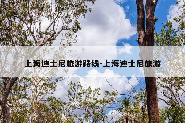 上海迪士尼旅游路线-上海迪士尼旅游-第1张图片-优惠活动网