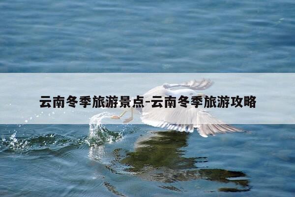云南冬季旅游景点-云南冬季旅游攻略-第1张图片-优惠活动网