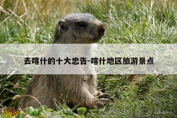 去喀什的十大忠告-喀什地区旅游景点-第1张图片-优惠活动网 去喀什的十大忠告-喀什地区旅游景点-第1张图片-优惠活动网