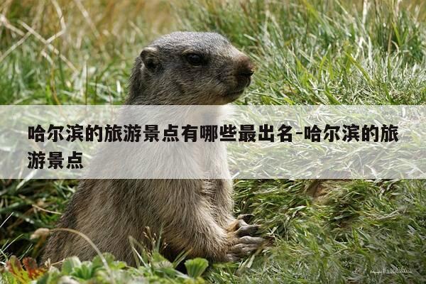 哈尔滨的旅游景点有哪些最出名-哈尔滨的旅游景点-第1张图片-优惠活动网