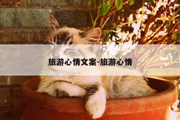 旅游心情文案-旅游心情-第1张图片-优惠活动网 旅游心情文案-旅游心情-第1张图片-优惠活动网