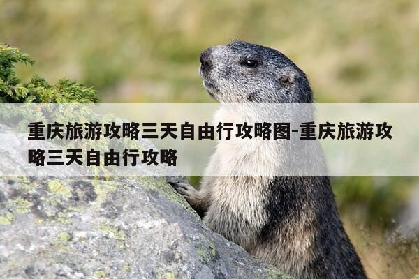 重庆旅游攻略三天自由行攻略图-重庆旅游攻略三天自由行攻略-第1张图片-优惠活动网 重庆旅游攻略三天自由行攻略图-重庆旅游攻略三天自由行攻略-第1张图片-优惠活动网