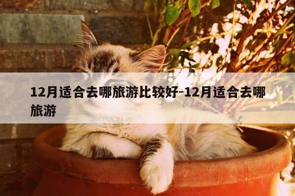 12月适合去哪旅游比较好-12月适合去哪旅游-第1张图片-优惠活动网