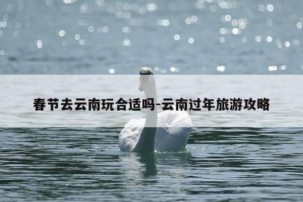 春节去云南玩合适吗-云南过年旅游攻略-第1张图片-优惠活动网