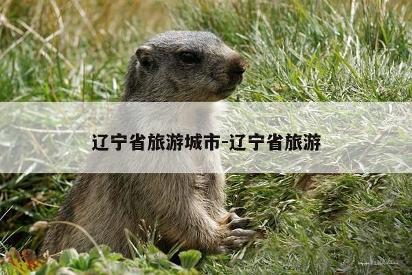 辽宁省旅游城市-辽宁省旅游-第1张图片-优惠活动网