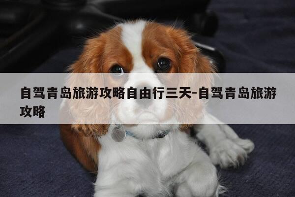 自驾青岛旅游攻略自由行三天-自驾青岛旅游攻略-第1张图片-优惠活动网