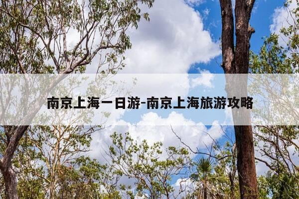 南京上海一日游-南京上海旅游攻略-第1张图片-优惠活动网