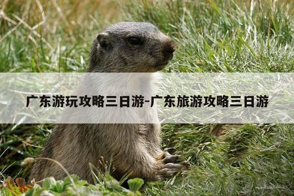 广东游玩攻略三日游-广东旅游攻略三日游-第1张图片-优惠活动网