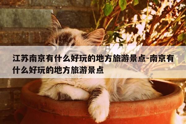 江苏南京有什么好玩的地方旅游景点-南京有什么好玩的地方旅游景点-第1张图片-优惠活动网