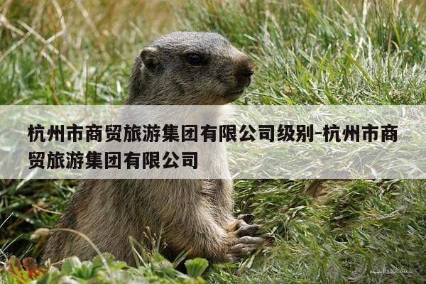 杭州市商贸旅游集团有限公司级别-杭州市商贸旅游集团有限公司-第1张图片-优惠活动网 杭州市商贸旅游集团有限公司级别-杭州市商贸旅游集团有限公司-第1张图片-优惠活动网