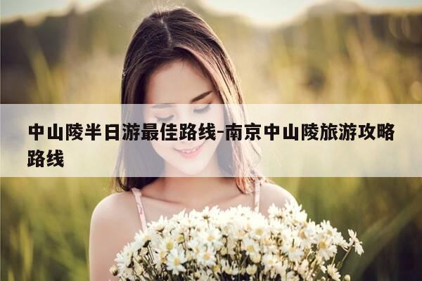 中山陵半日游最佳路线-南京中山陵旅游攻略路线-第1张图片-优惠活动网