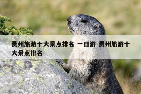 贵州旅游十大景点排名 一日游-贵州旅游十大景点排名-第1张图片-优惠活动网
