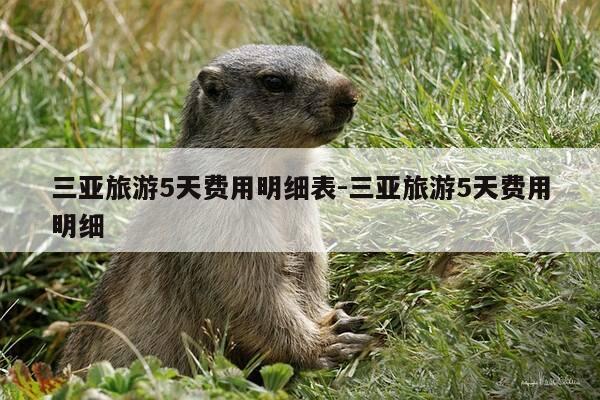三亚旅游5天费用明细表-三亚旅游5天费用明细-第1张图片-优惠活动网