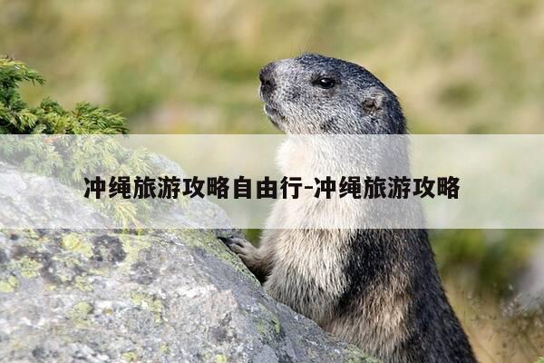 冲绳旅游攻略自由行-冲绳旅游攻略-第1张图片-优惠活动网 冲绳旅游攻略自由行-冲绳旅游攻略-第1张图片-优惠活动网
