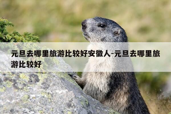 元旦去哪里旅游比较好安徽人-元旦去哪里旅游比较好-第1张图片-优惠活动网