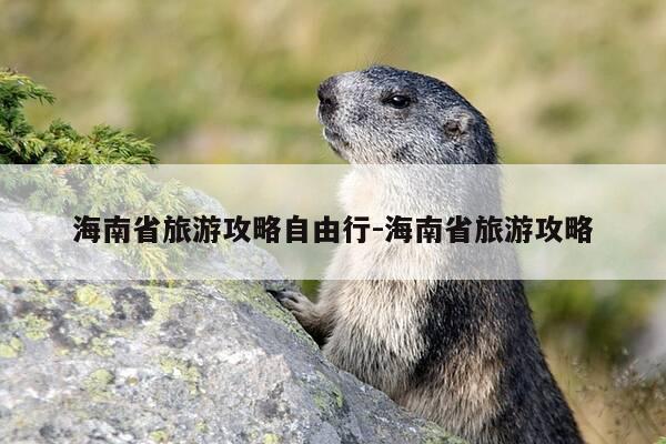 海南省旅游攻略自由行-海南省旅游攻略-第1张图片-优惠活动网