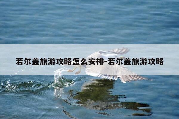 若尔盖旅游攻略怎么安排-若尔盖旅游攻略-第1张图片-优惠活动网 若尔盖旅游攻略怎么安排-若尔盖旅游攻略-第1张图片-优惠活动网
