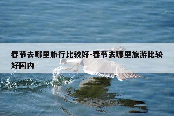 春节去哪里旅行比较好-春节去哪里旅游比较好国内-第1张图片-优惠活动网 春节去哪里旅行比较好-春节去哪里旅游比较好国内-第1张图片-优惠活动网