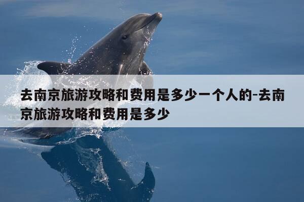 去南京旅游攻略和费用是多少一个人的-去南京旅游攻略和费用是多少-第1张图片-优惠活动网 去南京旅游攻略和费用是多少一个人的-去南京旅游攻略和费用是多少-第1张图片-优惠活动网