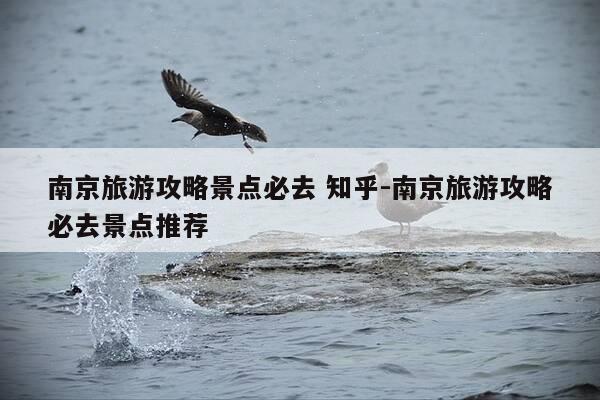 南京旅游攻略景点必去 知乎-南京旅游攻略必去景点推荐-第1张图片-优惠活动网