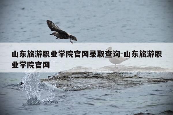 山东旅游职业学院官网录取查询-山东旅游职业学院官网-第1张图片-优惠活动网