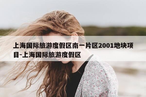 上海国际旅游度假区南一片区2001地块项目-上海国际旅游度假区-第1张图片-优惠活动网 上海国际旅游度假区南一片区2001地块项目-上海国际旅游度假区-第1张图片-优惠活动网