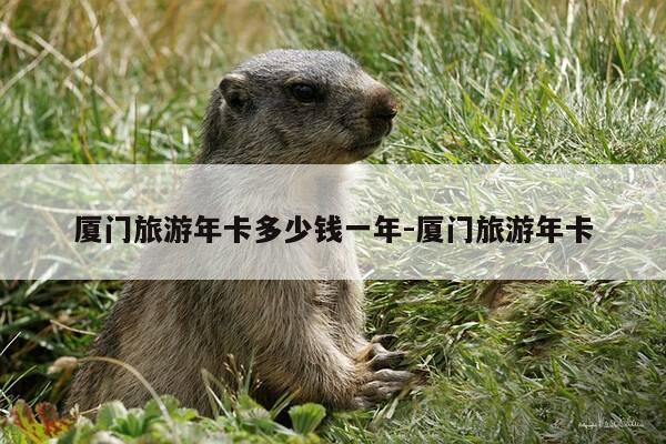 厦门旅游年卡多少钱一年-厦门旅游年卡-第1张图片-优惠活动网 厦门旅游年卡多少钱一年-厦门旅游年卡-第1张图片-优惠活动网