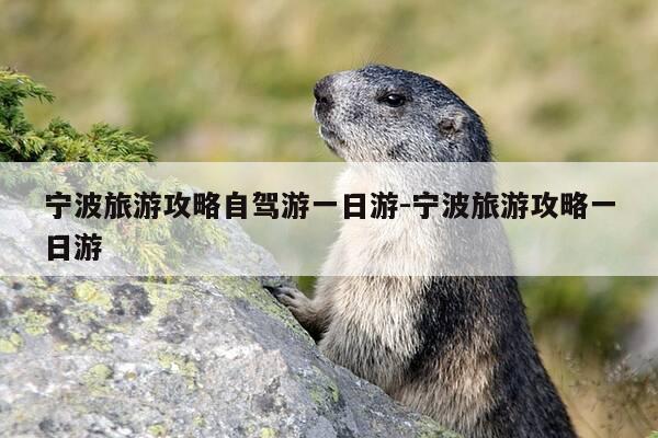 宁波旅游攻略自驾游一日游-宁波旅游攻略一日游-第1张图片-优惠活动网 宁波旅游攻略自驾游一日游-宁波旅游攻略一日游-第1张图片-优惠活动网