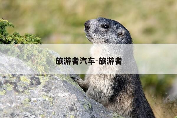 旅游者汽车-旅游者-第1张图片-优惠活动网 旅游者汽车-旅游者-第1张图片-优惠活动网