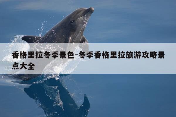 香格里拉冬季景色-冬季香格里拉旅游攻略景点大全-第1张图片-优惠活动网