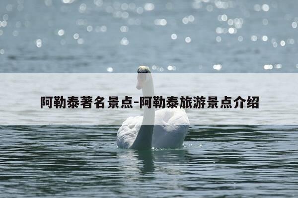阿勒泰著名景点-阿勒泰旅游景点介绍-第1张图片-优惠活动网 阿勒泰著名景点-阿勒泰旅游景点介绍-第1张图片-优惠活动网