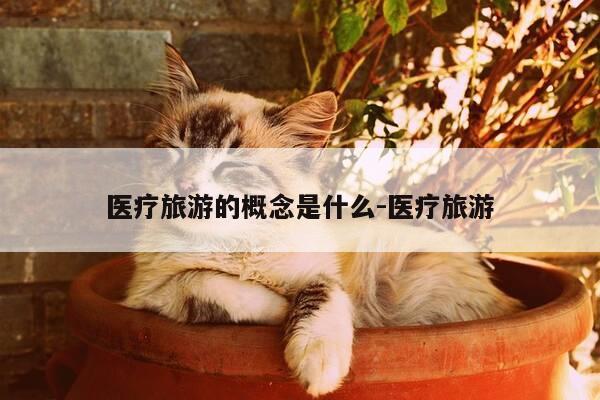 医疗旅游的概念是什么-医疗旅游-第1张图片-优惠活动网 医疗旅游的概念是什么-医疗旅游-第1张图片-优惠活动网