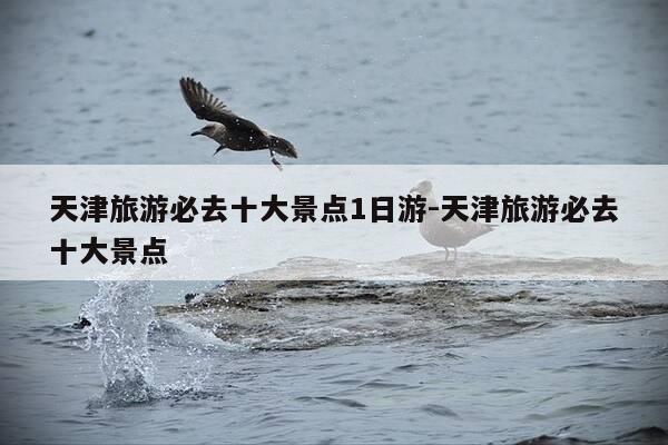天津旅游必去十大景点1日游-天津旅游必去十大景点-第1张图片-优惠活动网 天津旅游必去十大景点1日游-天津旅游必去十大景点-第1张图片-优惠活动网