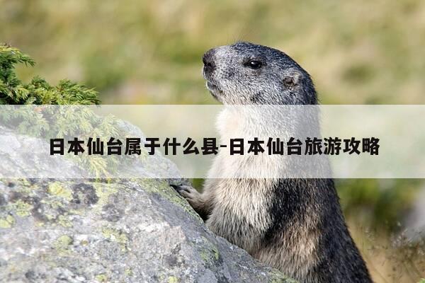 日本仙台属于什么县-日本仙台旅游攻略-第1张图片-优惠活动网