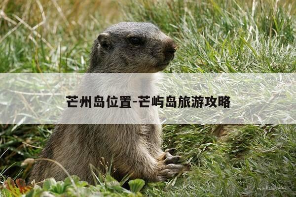 芒州岛位置-芒屿岛旅游攻略-第1张图片-优惠活动网 芒州岛位置-芒屿岛旅游攻略-第1张图片-优惠活动网