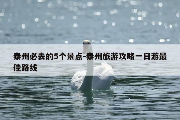 泰州必去的5个景点-泰州旅游攻略一日游最佳路线-第1张图片-优惠活动网
