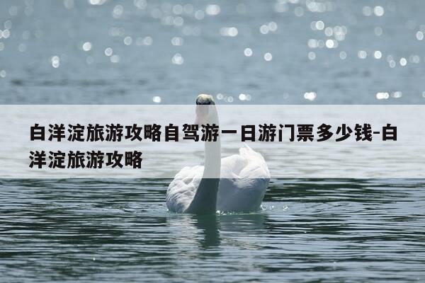 白洋淀旅游攻略自驾游一日游门票多少钱-白洋淀旅游攻略-第1张图片-优惠活动网 白洋淀旅游攻略自驾游一日游门票多少钱-白洋淀旅游攻略-第1张图片-优惠活动网
