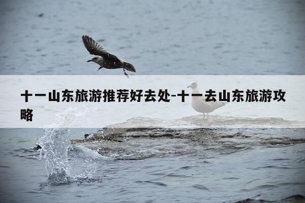 十一山东旅游推荐好去处-十一去山东旅游攻略-第1张图片-优惠活动网 十一山东旅游推荐好去处-十一去山东旅游攻略-第1张图片-优惠活动网