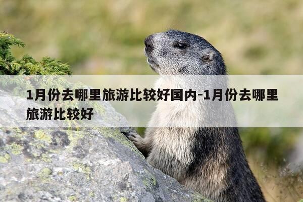 1月份去哪里旅游比较好国内-1月份去哪里旅游比较好-第1张图片-优惠活动网 1月份去哪里旅游比较好国内-1月份去哪里旅游比较好-第1张图片-优惠活动网