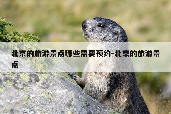 北京的旅游景点哪些需要预约-北京的旅游景点-第1张图片-优惠活动网 北京的旅游景点哪些需要预约-北京的旅游景点-第1张图片-优惠活动网