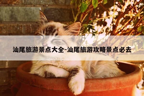汕尾旅游景点大全-汕尾旅游攻略景点必去-第1张图片-优惠活动网 汕尾旅游景点大全-汕尾旅游攻略景点必去-第1张图片-优惠活动网