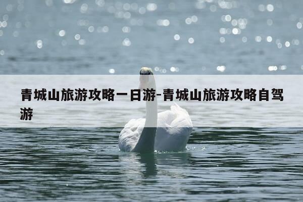 青城山旅游攻略一日游-青城山旅游攻略自驾游-第1张图片-优惠活动网 青城山旅游攻略一日游-青城山旅游攻略自驾游-第1张图片-优惠活动网