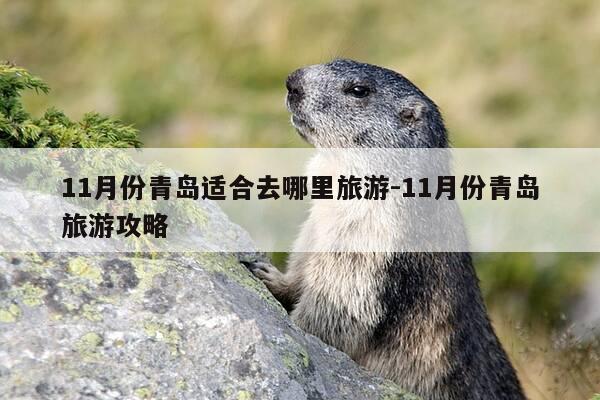 11月份青岛适合去哪里旅游-11月份青岛旅游攻略-第1张图片-优惠活动网 11月份青岛适合去哪里旅游-11月份青岛旅游攻略-第1张图片-优惠活动网