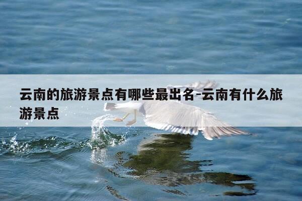 云南的旅游景点有哪些最出名-云南有什么旅游景点-第1张图片-优惠活动网 云南的旅游景点有哪些最出名-云南有什么旅游景点-第1张图片-优惠活动网