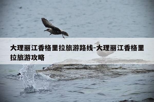 大理丽江香格里拉旅游路线-大理丽江香格里拉旅游攻略-第1张图片-优惠活动网 大理丽江香格里拉旅游路线-大理丽江香格里拉旅游攻略-第1张图片-优惠活动网