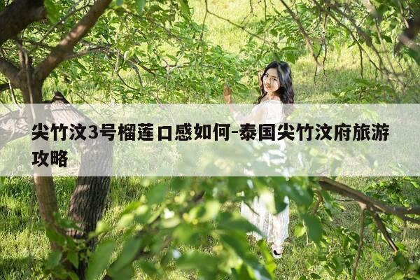 尖竹汶3号榴莲口感如何-泰国尖竹汶府旅游攻略-第1张图片-优惠活动网 尖竹汶3号榴莲口感如何-泰国尖竹汶府旅游攻略-第1张图片-优惠活动网